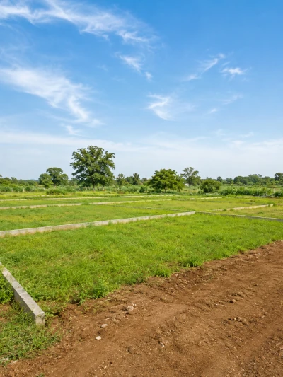 Land